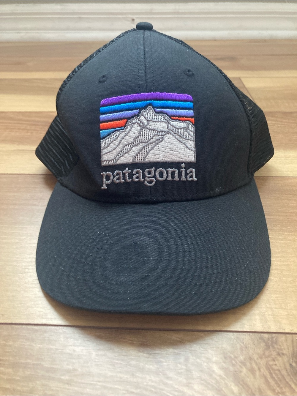 Patagonia P-6 Logo Trucker Hat Cap